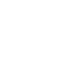 BITNIC
