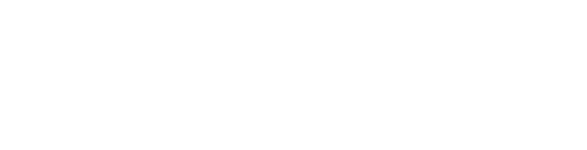 BITNIC